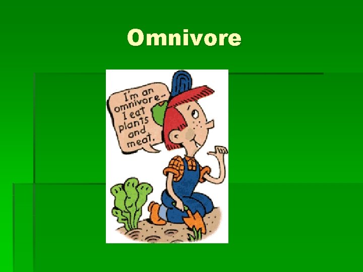 Omnivore 