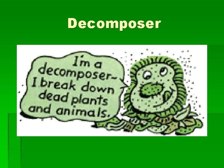 Decomposer 