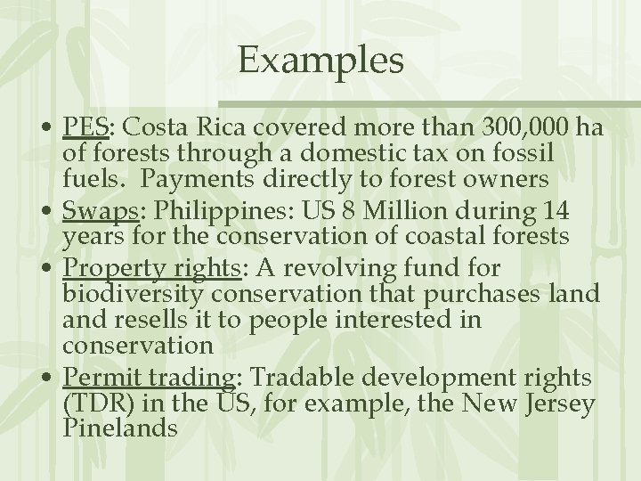 Examples • PES: Costa Rica covered more than 300, 000 ha of forests through