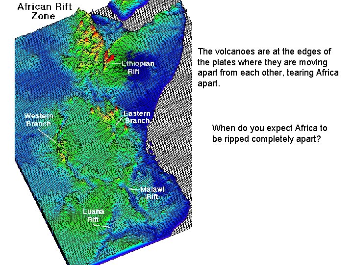 The volcanoes are at the edges of the plates where they are moving apart