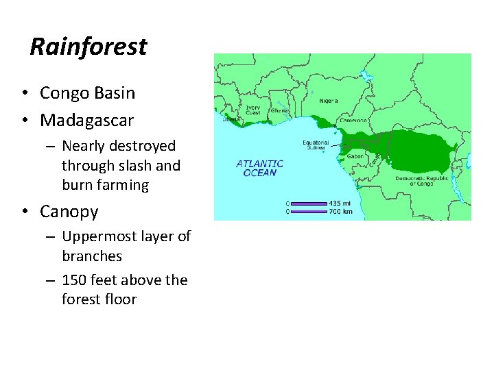 Rainforest • Congo Basin • Madagascar – Nearly destroyed through slash and burn farming