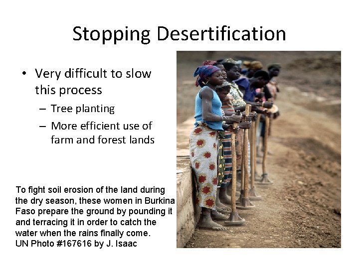 Stopping Desertification • Very difficult to slow this process – Tree planting – More