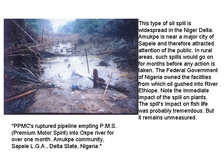 This type of oil spill is widespread in the Niger Delta. Amukpe is near