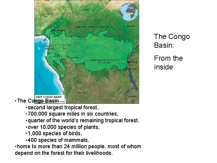 The Congo Basin: From the inside • The Congo Basin • second largest tropical