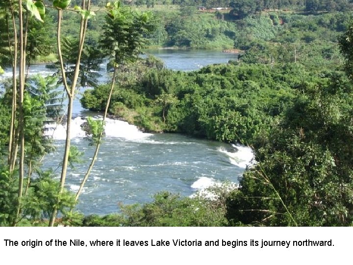 The origin of the Nile, where it leaves Lake Victoria and begins its journey