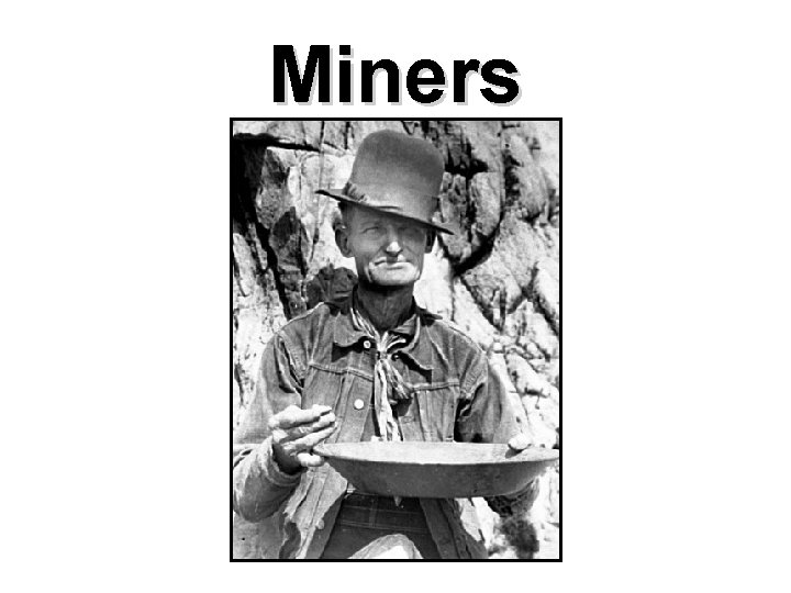 Miners Miners