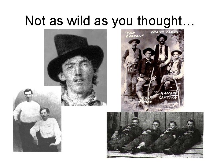 Not as wild as you thought… Not as wild as you thought…