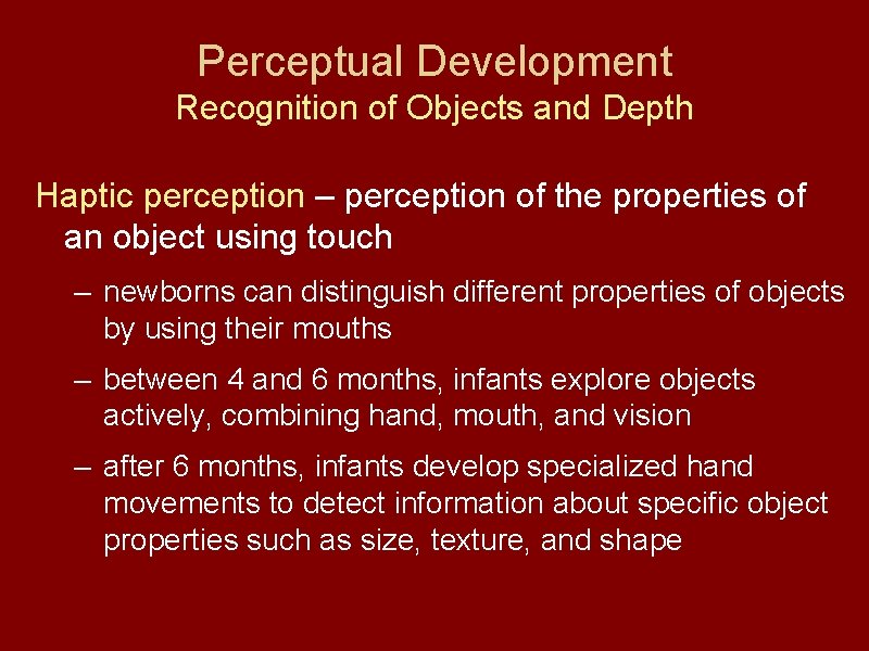 Perceptual Development Recognition of Objects and Depth Haptic perception – perception of the properties