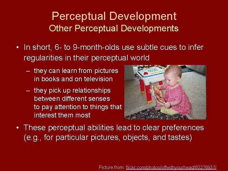 Perceptual Development Other Perceptual Developments • In short, 6 - to 9 -month-olds use