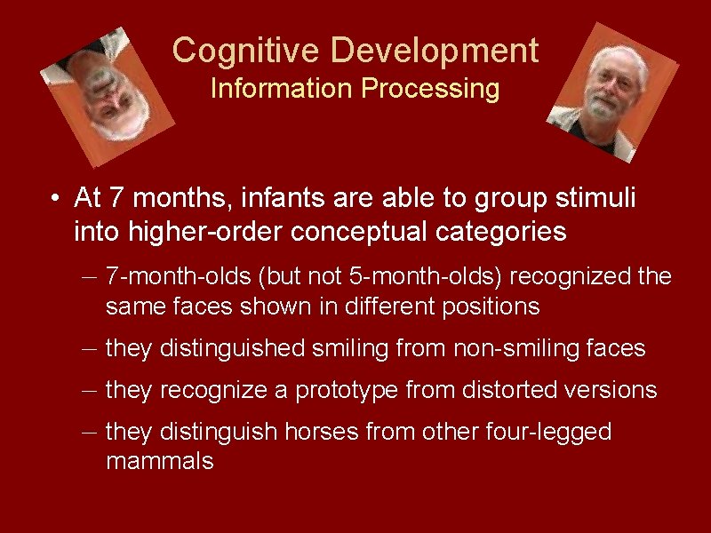Cognitive Development Information Processing • At 7 months, infants are able to group stimuli