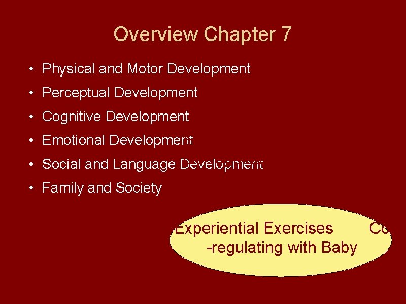 Overview Chapter 7 • Physical and Motor Development • Perceptual Development • Cognitive Development