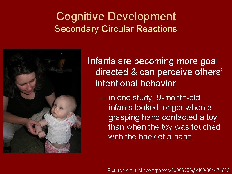 Cognitive Development Secondary Circular Reactions Infants are becoming more goal directed & can perceive
