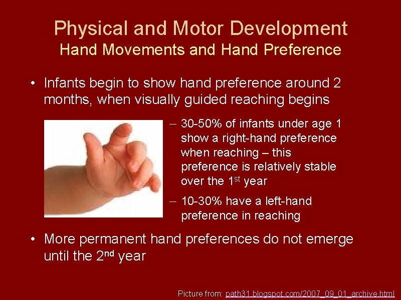 Physical and Motor Development Hand Movements and Hand Preference • Infants begin to show