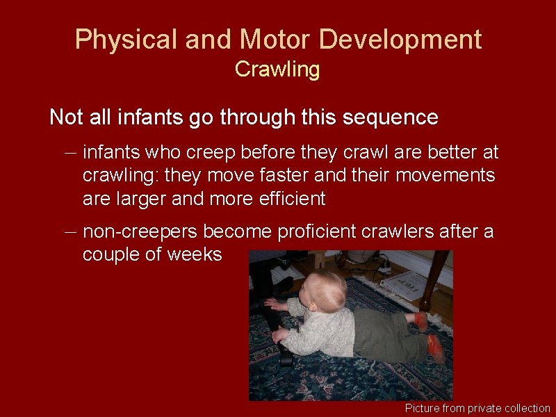 Physical and Motor Development Crawling Not all infants go through this sequence — infants