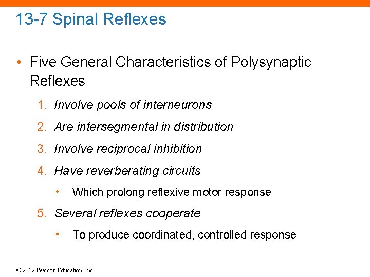 13 -7 Spinal Reflexes • Five General Characteristics of Polysynaptic Reflexes 1. Involve pools