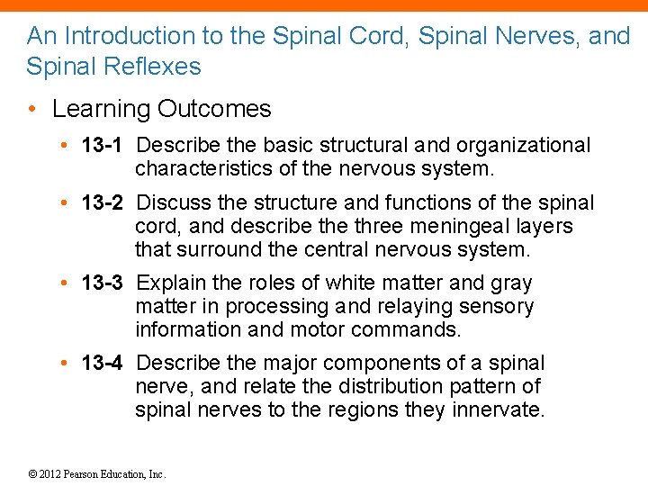 An Introduction to the Spinal Cord, Spinal Nerves, and Spinal Reflexes • Learning Outcomes