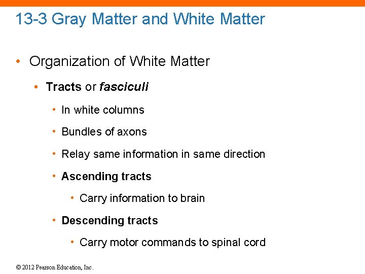 13 -3 Gray Matter and White Matter • Organization of White Matter • Tracts