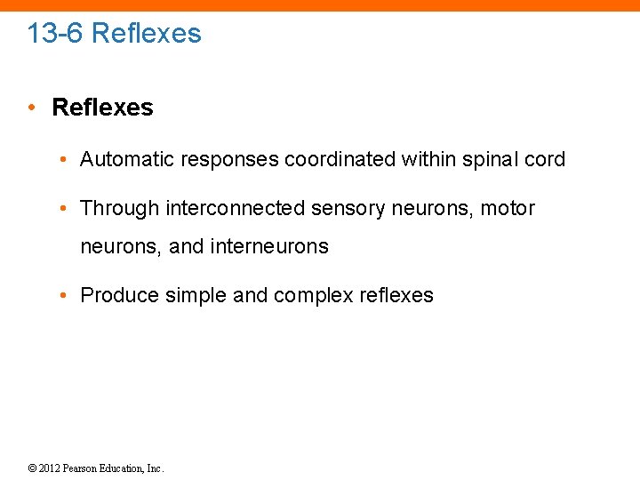 13 -6 Reflexes • Automatic responses coordinated within spinal cord • Through interconnected sensory
