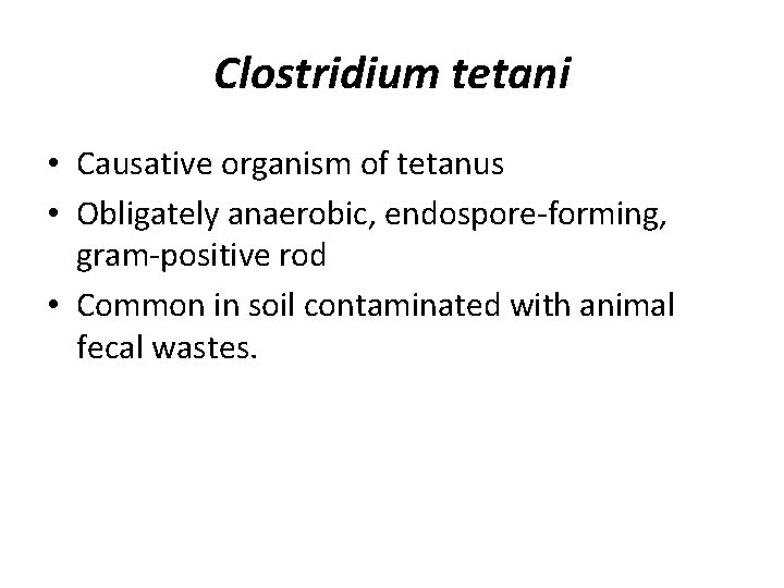 Clostridium tetani • Causative organism of tetanus • Obligately anaerobic, endospore-forming, gram-positive rod •