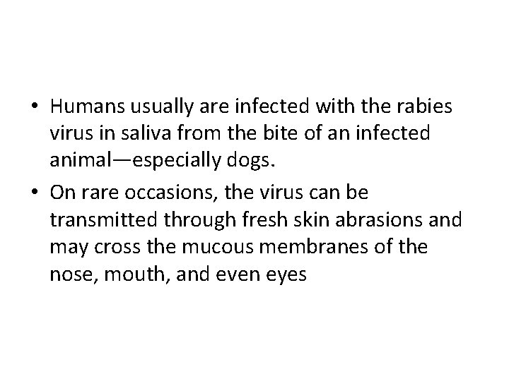  • Humans usually are infected with the rabies virus in saliva from the
