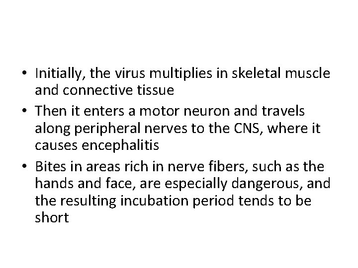  • Initially, the virus multiplies in skeletal muscle and connective tissue • Then