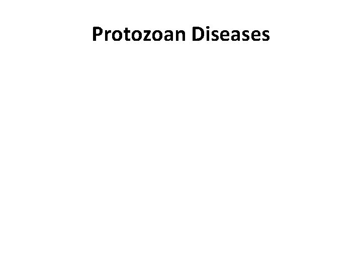 Protozoan Diseases 