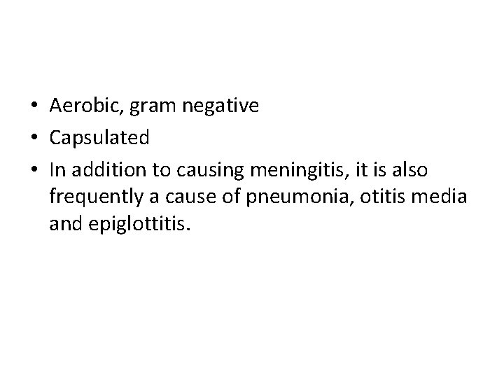  • Aerobic, gram negative • Capsulated • In addition to causing meningitis, it