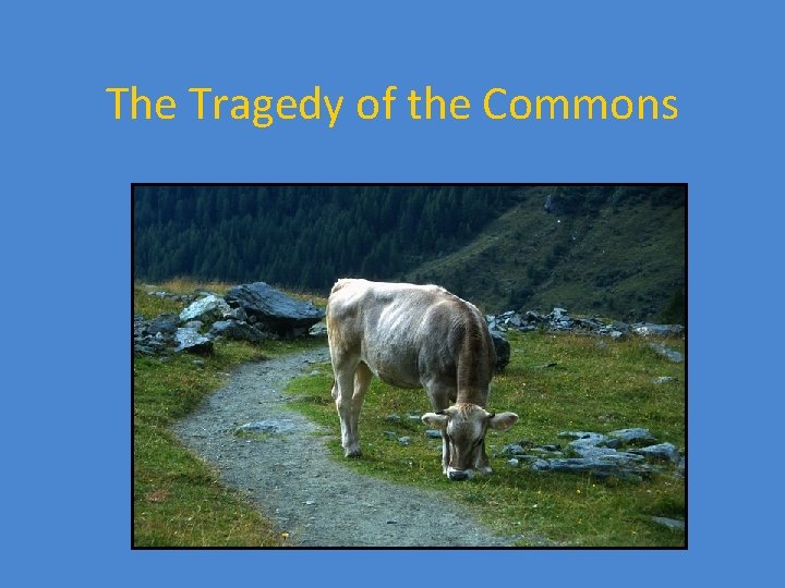 The Tragedy of the Commons 