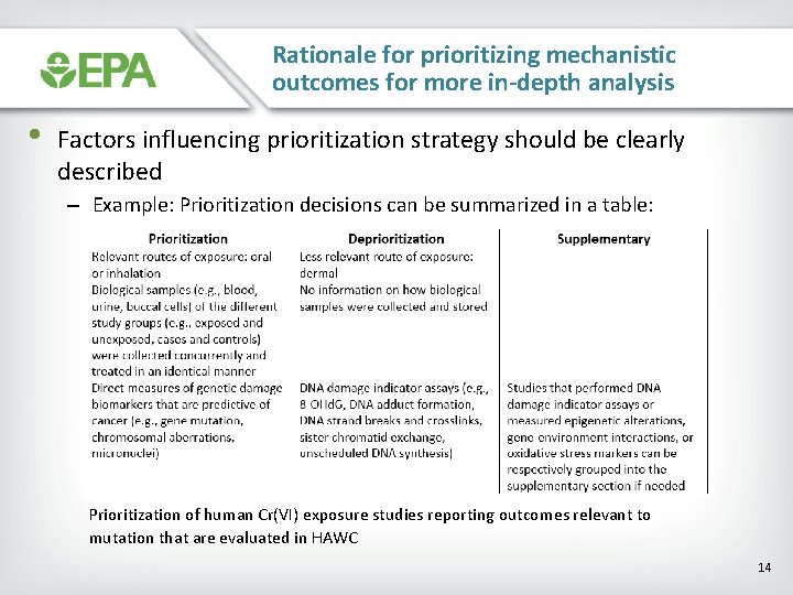 Rationale for prioritizing mechanistic outcomes for more in-depth analysis • Factors influencing prioritization strategy
