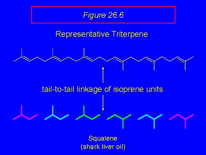 Figure 26. 6 Representative Triterpene tail-to-tail linkage of isoprene units Squalene (shark liver oil)