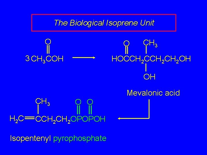 The Biological Isoprene Unit O O 3 CH 3 COH CH 3 HOCCH 2