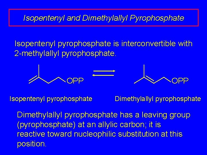 Isopentenyl and Dimethylallyl Pyrophosphate Isopentenyl pyrophosphate is interconvertible with 2 -methylallyl pyrophosphate. OPP Isopentenyl