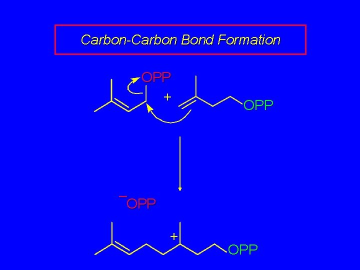 Carbon-Carbon Bond Formation OPP + OPP – OPP + OPP 