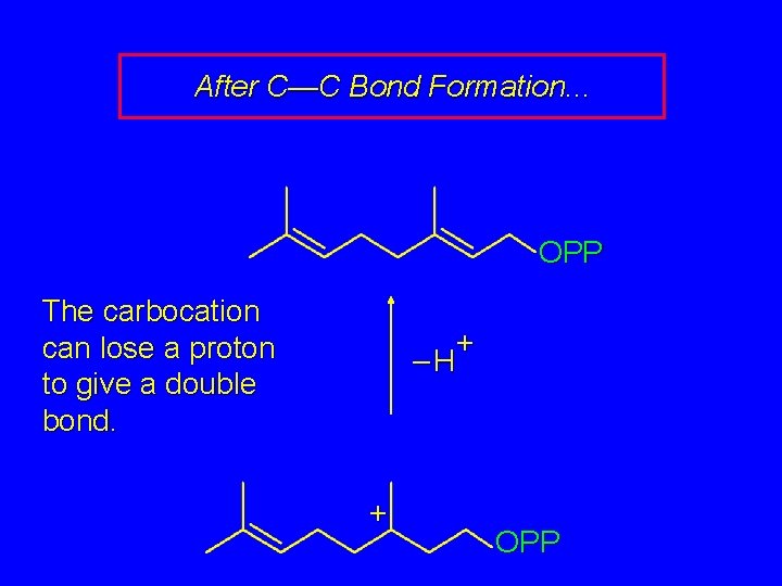 After C—C Bond Formation. . . OPP The carbocation can lose a proton to