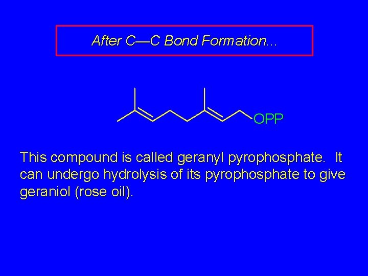 After C—C Bond Formation. . . OPP This compound is called geranyl pyrophosphate. It