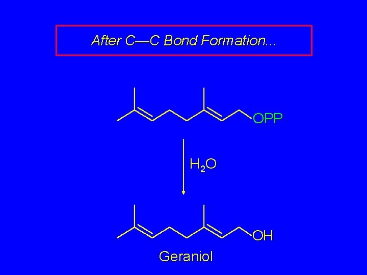 After C—C Bond Formation. . . OPP H 2 O OH Geraniol 