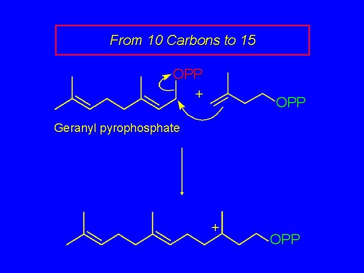 From 10 Carbons to 15 OPP + OPP Geranyl pyrophosphate + OPP 