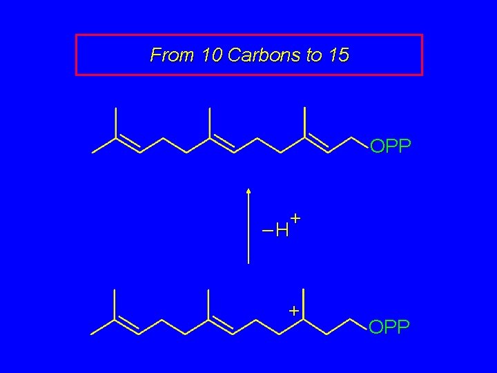From 10 Carbons to 15 OPP + –H + OPP 