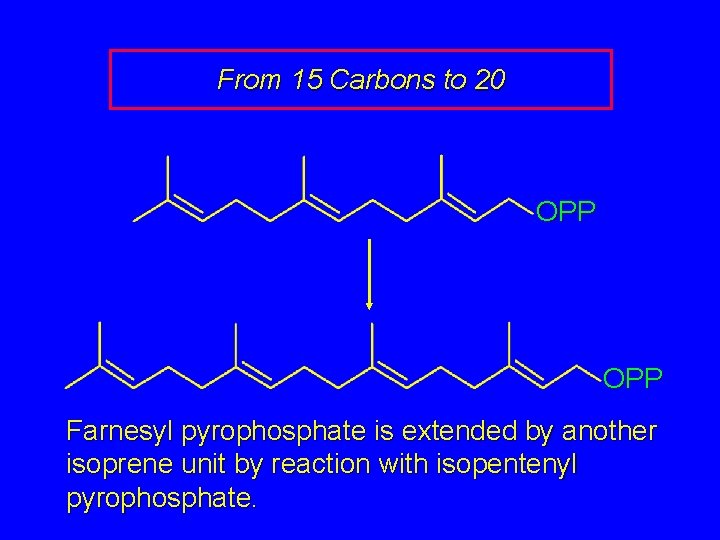 From 15 Carbons to 20 OPP Farnesyl pyrophosphate is extended by another isoprene unit