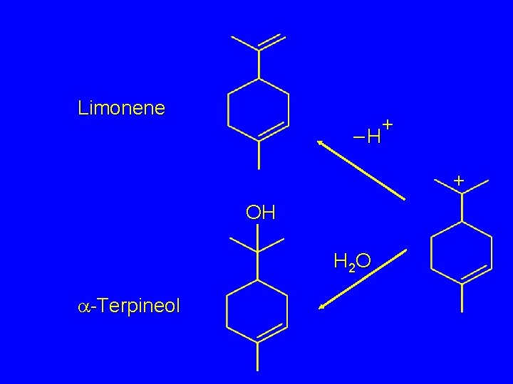 Limonene + –H + OH H 2 O a-Terpineol 