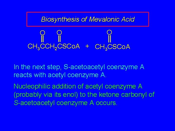 Biosynthesis of Mevalonic Acid O O O CH 3 CCH 2 CSCo. A +