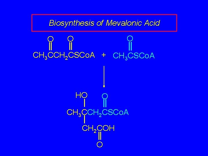 Biosynthesis of Mevalonic Acid O O O CH 3 CCH 2 CSCo. A +