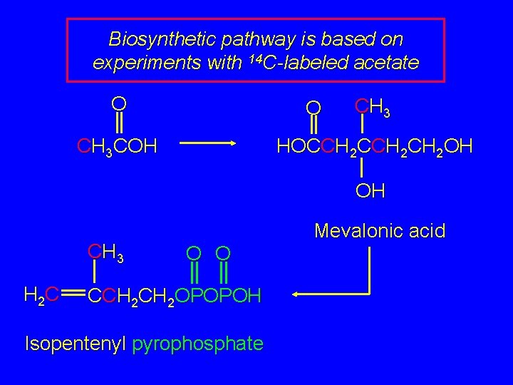 Biosynthetic pathway is based on experiments with 14 C-labeled acetate O O CH 3