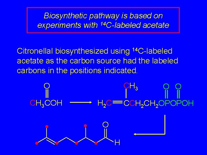 Biosynthetic pathway is based on experiments with 14 C-labeled acetate Citronellal biosynthesized using 14