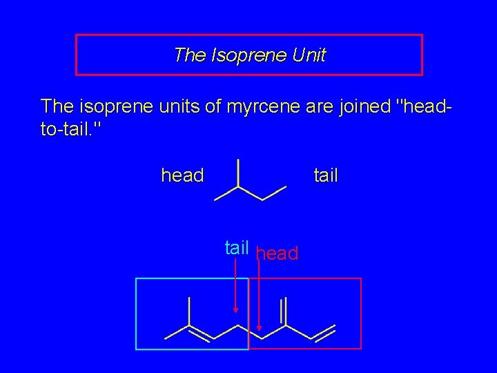 The Isoprene Unit The isoprene units of myrcene are joined "headto-tail. " head tail