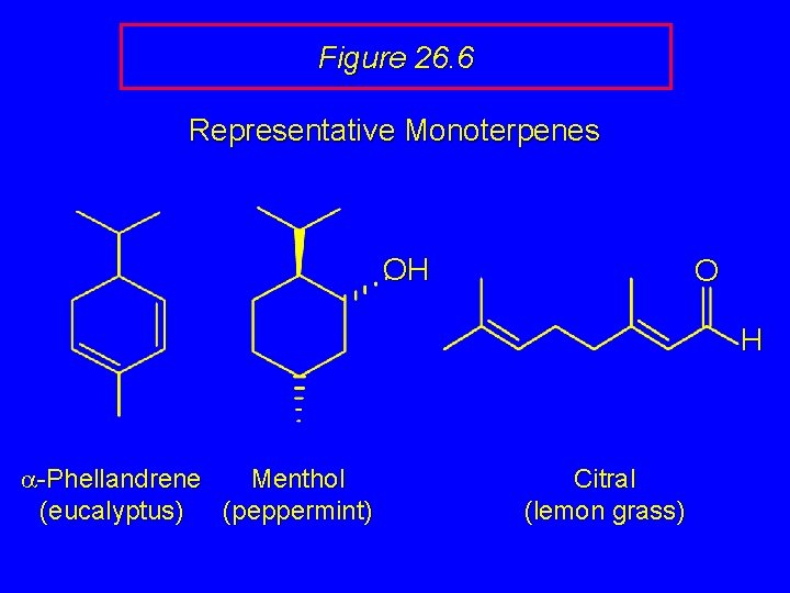 Figure 26. 6 Representative Monoterpenes OH O H a-Phellandrene Menthol (eucalyptus) (peppermint) Citral (lemon