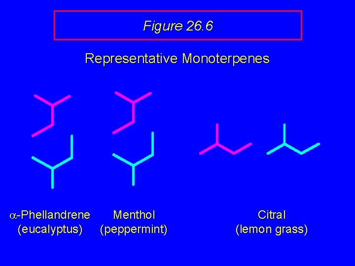 Figure 26. 6 Representative Monoterpenes a-Phellandrene Menthol (eucalyptus) (peppermint) Citral (lemon grass) 