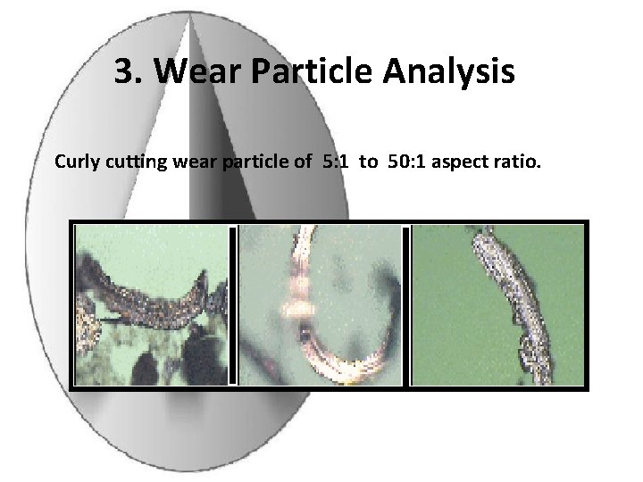 3. Wear Particle Analysis Curly cutting wear particle of 5: 1 to 50: 1 3. Wear Particle Analysis Curly cutting wear particle of 5: 1 to 50: 1