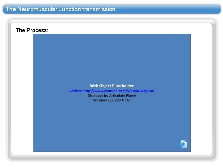 The Neuromuscular Junction transmission The Process: The Neuromuscular Junction transmission The Process: