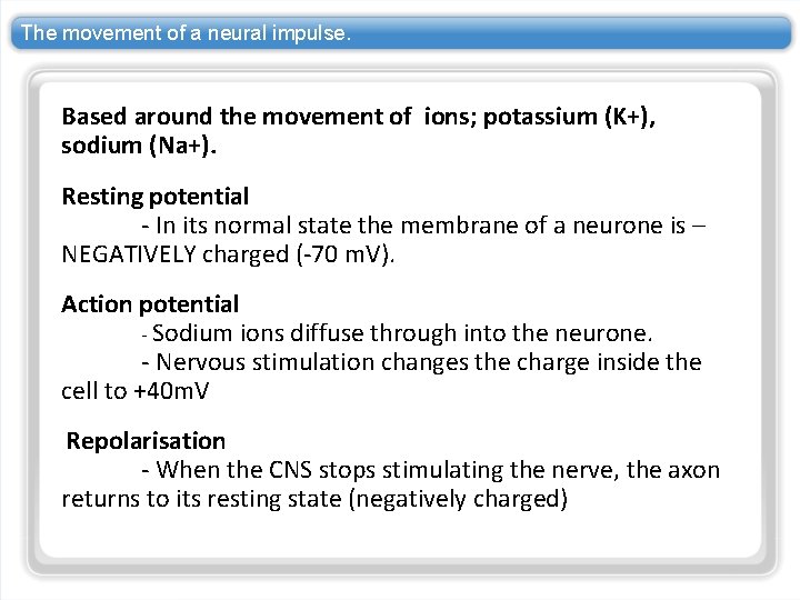 The movement of a neural impulse. Based around the movement of ions; potassium (K+), The movement of a neural impulse. Based around the movement of ions; potassium (K+),